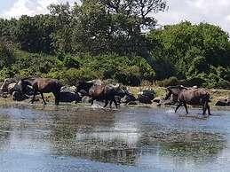 Borgo Antico XIX sec