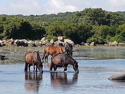 Borgo Antico XIX sec
