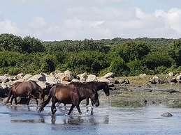 Borgo Antico XIX sec