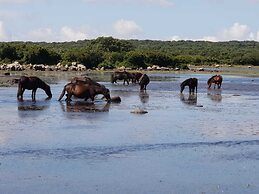 Borgo Antico XIX sec
