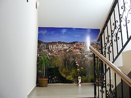 Hotel Varusha