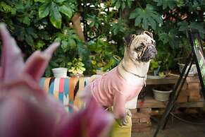 Lijiang X.ann Blossom inn