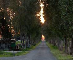 Agriturismo Magnaboschi