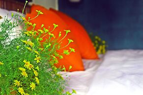 Home Farm Villa Hoi An