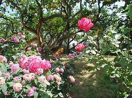 Hotel Villa Tre Sorelle