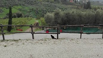 Fattoria di Fubbiano