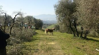 Fattoria di Fubbiano