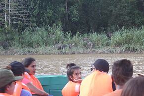 The Last Frontier Boutique Resort