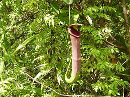 The Last Frontier Boutique Resort