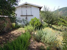 Agriturismo Camisadu