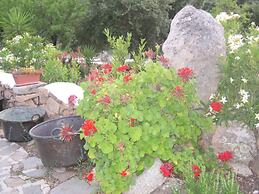 Agriturismo Camisadu