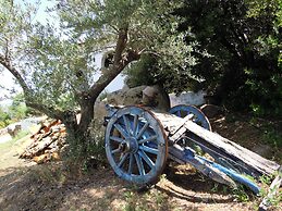 Agriturismo Camisadu