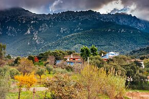 Agriturismo Camisadu