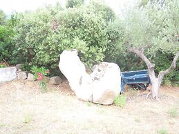 Agriturismo Camisadu