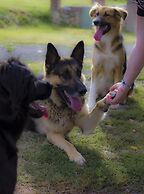 Agriturismo Pretenzano