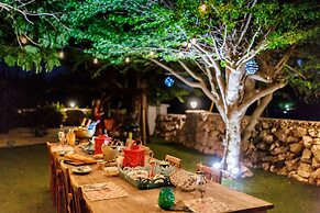 Aruba Boutique Apartments Adults Only