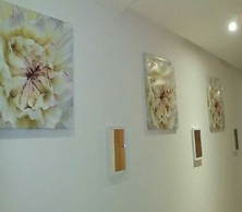 Appartement Les Perles