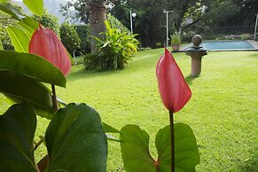 El Refugio de las Palomas