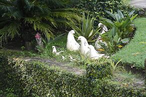 El Refugio de las Palomas