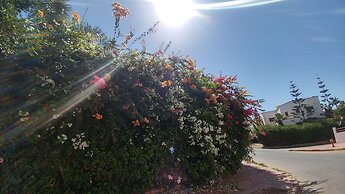 Artistica Suite - La Siesta