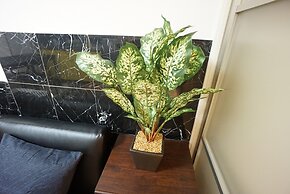 Takemura House Imamiya