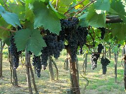 Agriturismo A Veggia Vigna