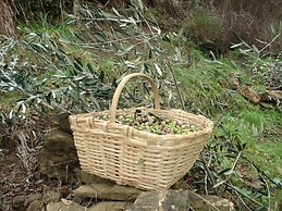 Agriturismo A Veggia Vigna