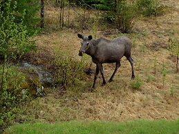 Hotell Vindelngallerian