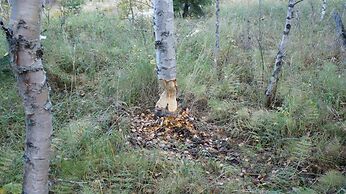 Hotell Vindelngallerian