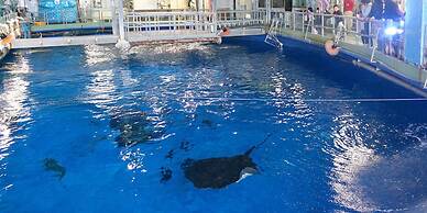 Hotel Gate In Kagoshima