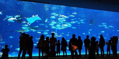 Hotel Gate In Kagoshima