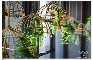 Expressionz Professional Suites by MyKey