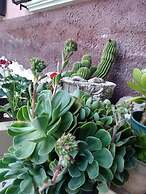 Agriturismo Villa delle Acacie