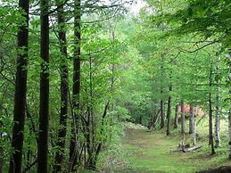 Kusatsu Green Park Palace