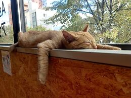 Guest House Asahikawa Ride - Hostel