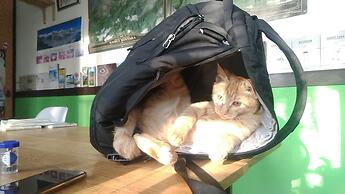 Guest House Asahikawa Ride - Hostel