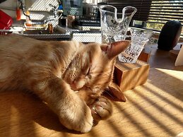 Guest House Asahikawa Ride - Hostel