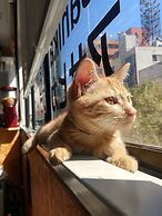 Guest House Asahikawa Ride - Hostel