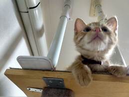 Guest House Asahikawa Ride - Hostel