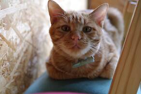 Guest House Asahikawa Ride - Hostel