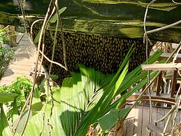 Little Prince Resort & Spa