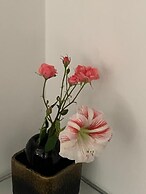 Aida Apartments and Rooms