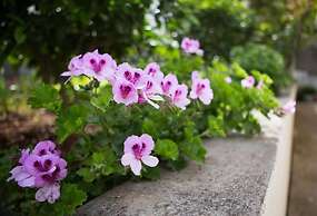 Aida Apartments and Rooms