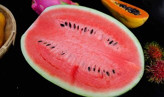 Kloem Hostel - Adults Only