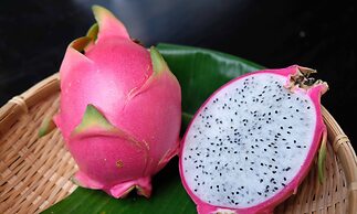 Kloem Hostel - Adults Only