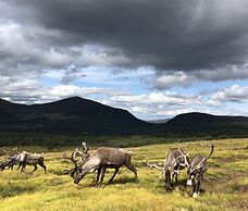 Ravenscraig Guest House