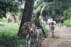 Siem Reap Homesteading