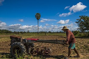 Siem Reap Homesteading