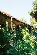 Siem Reap Homesteading