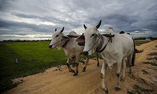 Siem Reap Homesteading